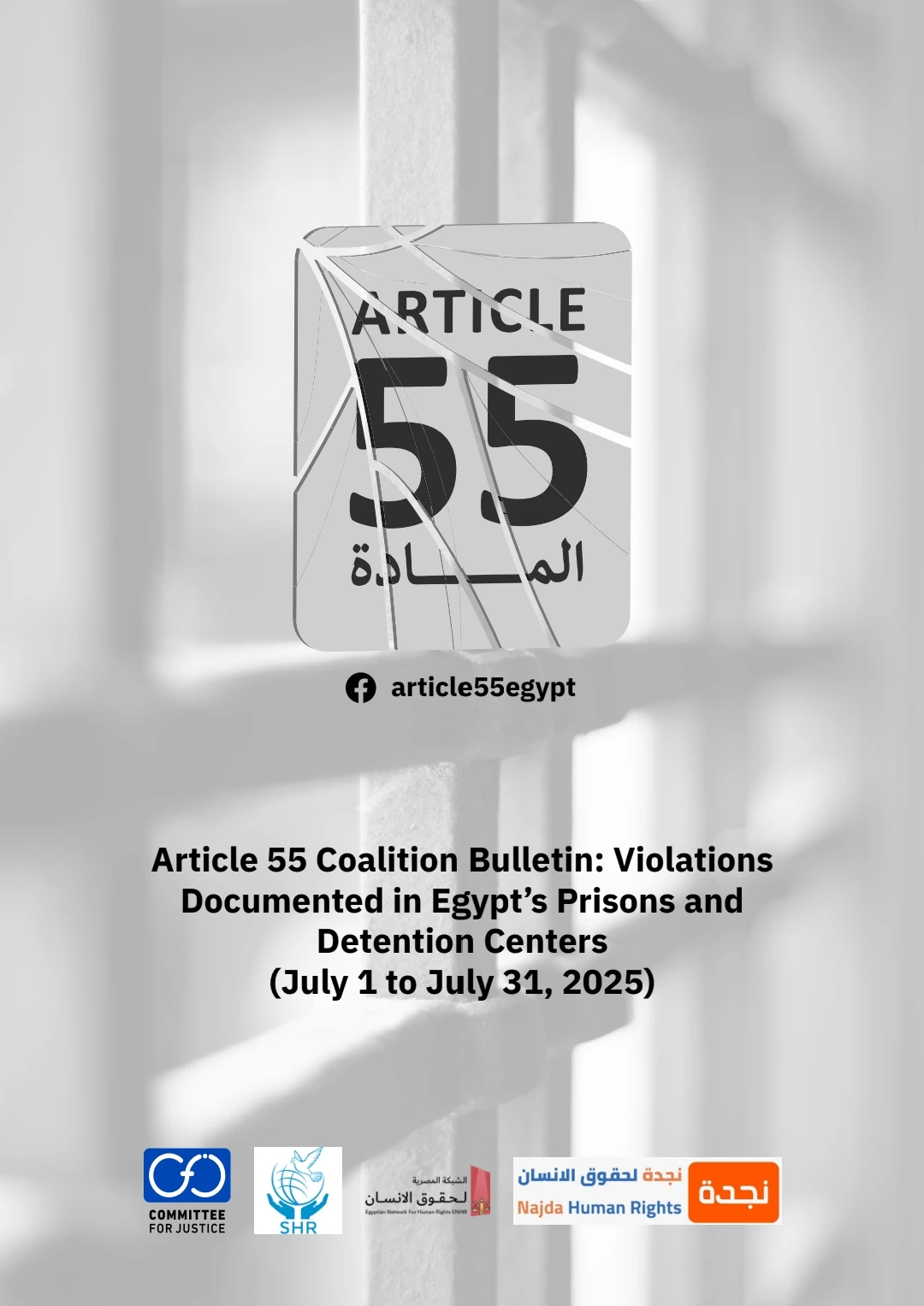 Article 55 Coalition documents violations inside Egyptian detention centers during the period from July 1 to July 31, 2025